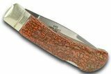 Pocket Knife with Fossil Dinosaur Bone Inlays & Base #370746-2